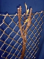 Opure vive Nr.3-c_h430.jpg