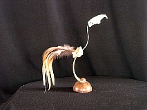 joerg_046b600.jpg